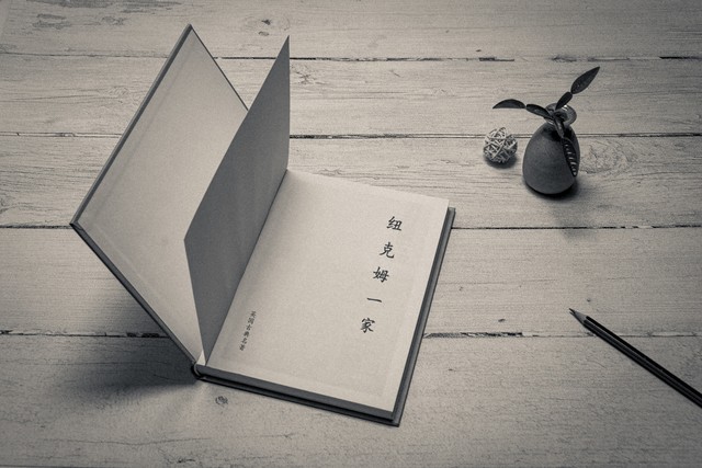 专业扫描框架