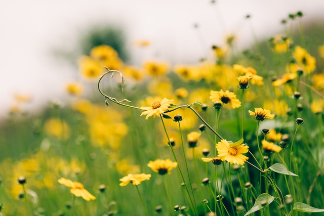 秀兜直播截图预览2