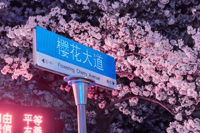 氧秀直播截图3