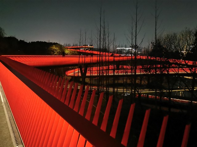 天橙直播截图2