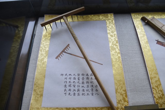 麻宁直播
