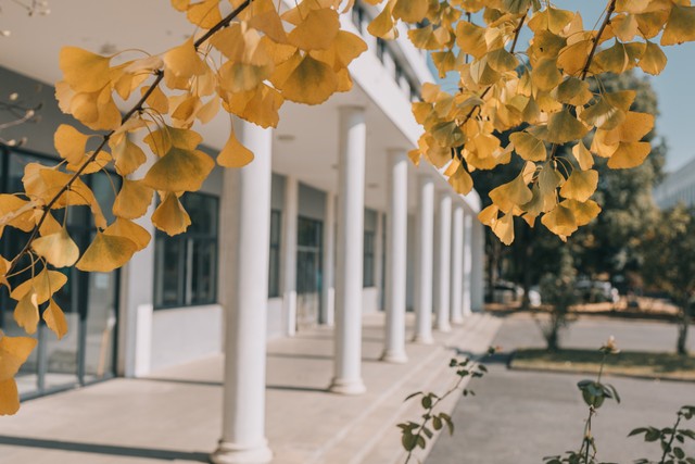 国蛋直播截图预览4