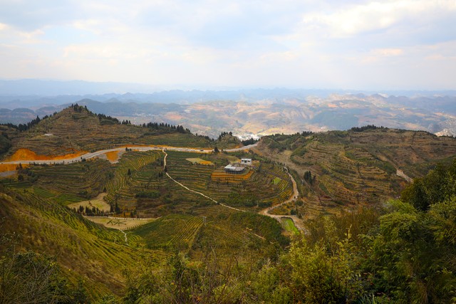 迅捷流媒体网络