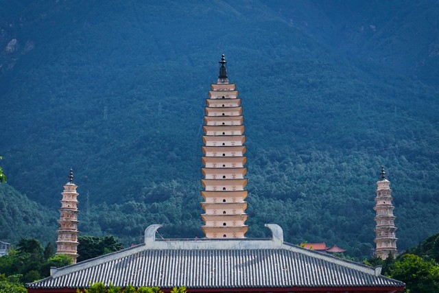 秋花直播截图1