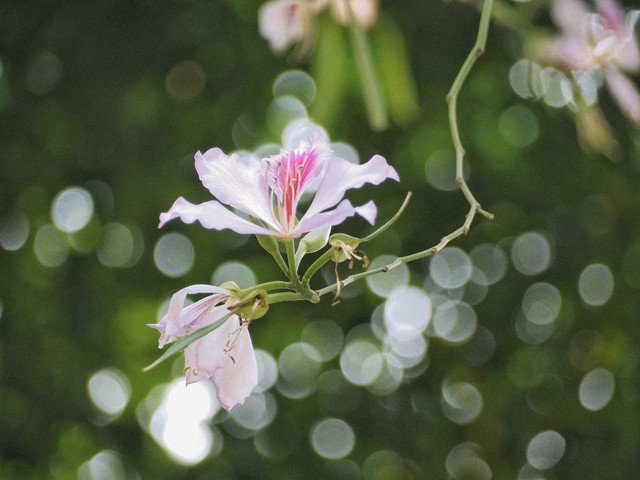 墨玉直播截图预览3