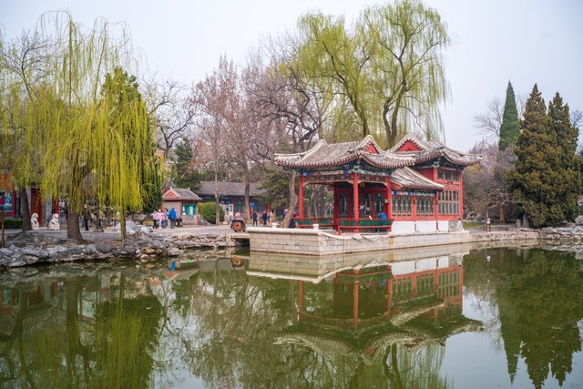 专业编程界面