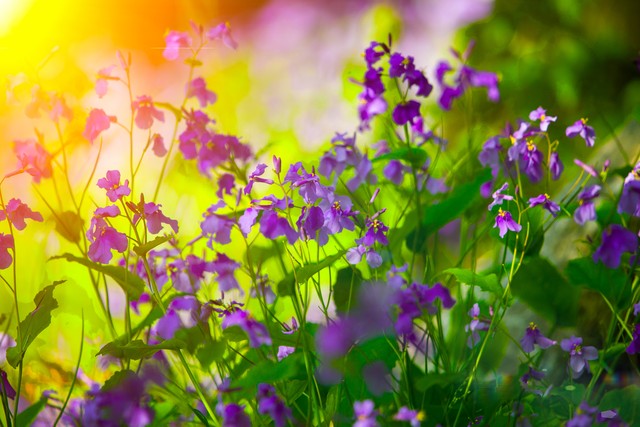 抖陌直播截图预览3