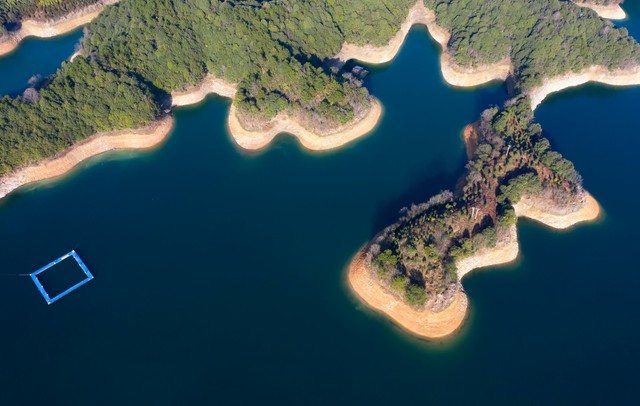 众浪直播截图预览0