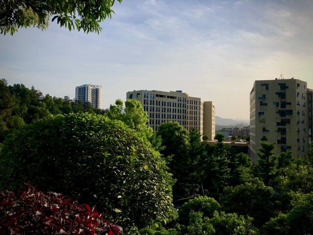 新游直播截图4