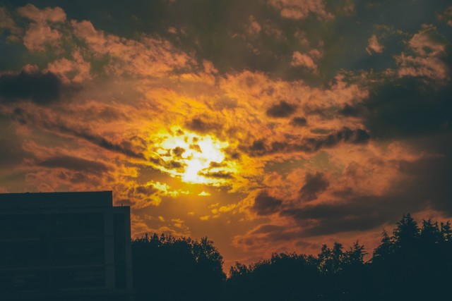 诱色直播截图预览1