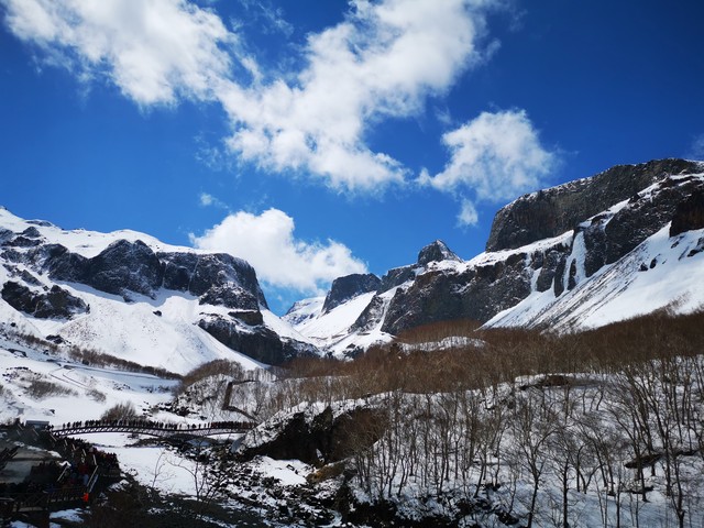 下载魅影直播平台截图0