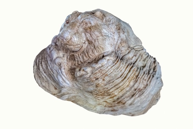 抖阴直播截图预览2