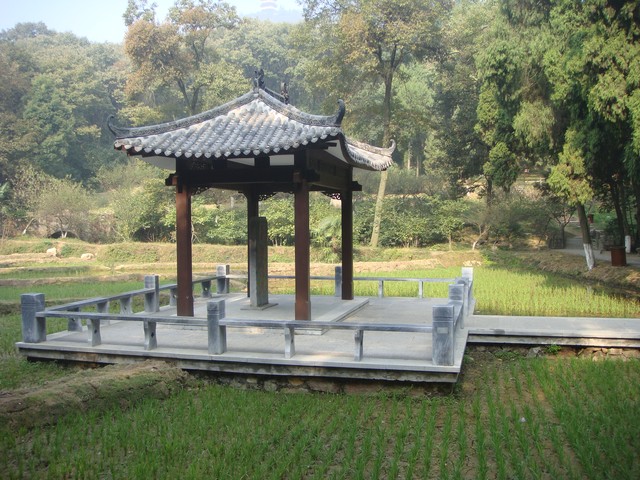 席殊直播截图4