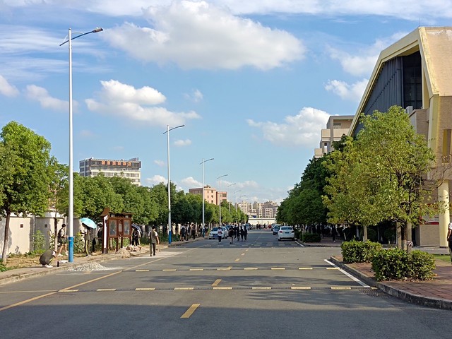 绿龙直播