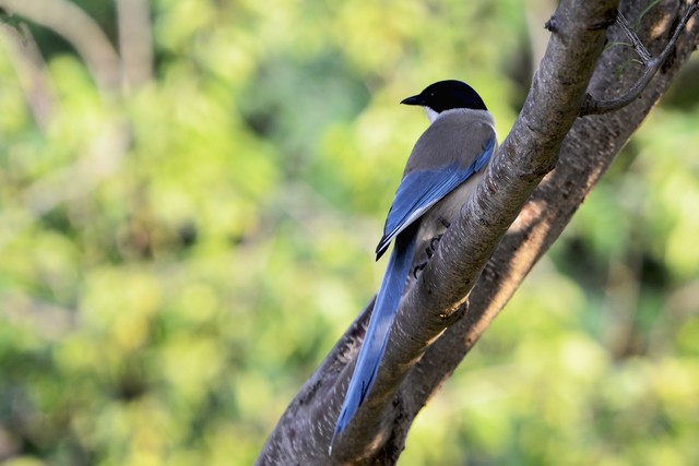 抖陌直播截图预览4