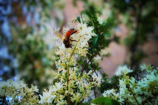 老板女儿见证残阵雄鹿大胜挽救赛点：一场难以置信的团队胜利??-