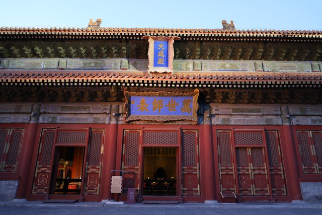 高效保护器
