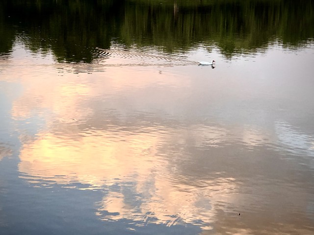 日记：尼克斯愿不惜一切代价得到布克来搭档布伦森-