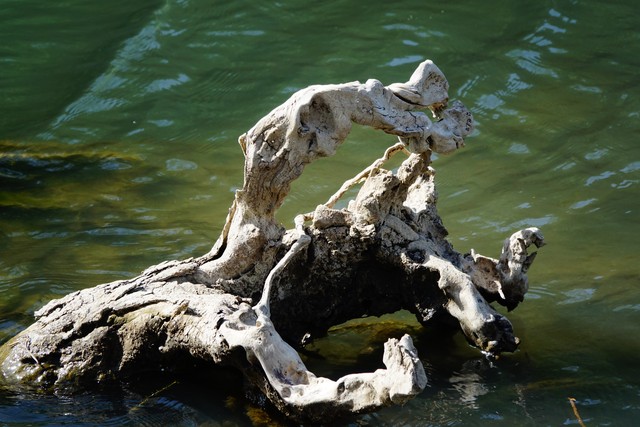 全乐直播截图预览0