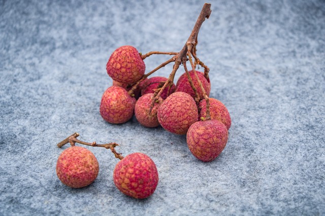 人鱼直播截图预览0