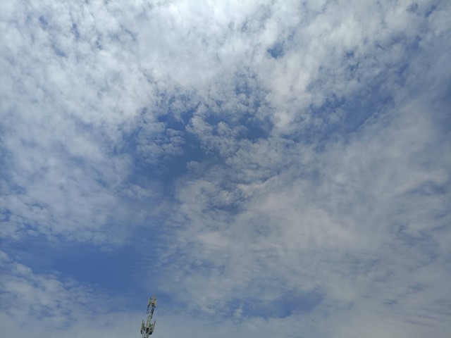 秀网直播截图预览4