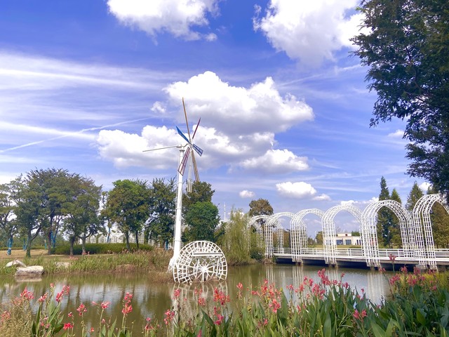 精准分享解决方案