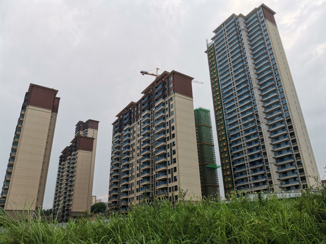 白虎直播