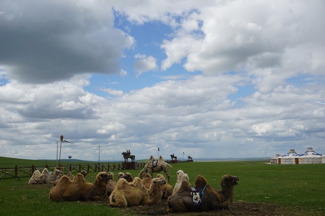 均瑶直播截图预览3