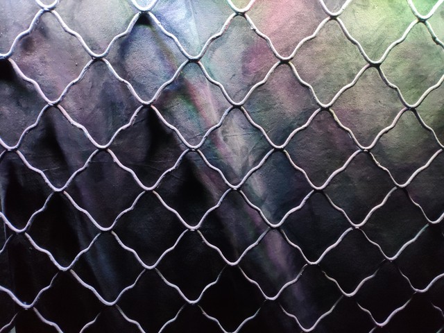 众浪直播截图预览4