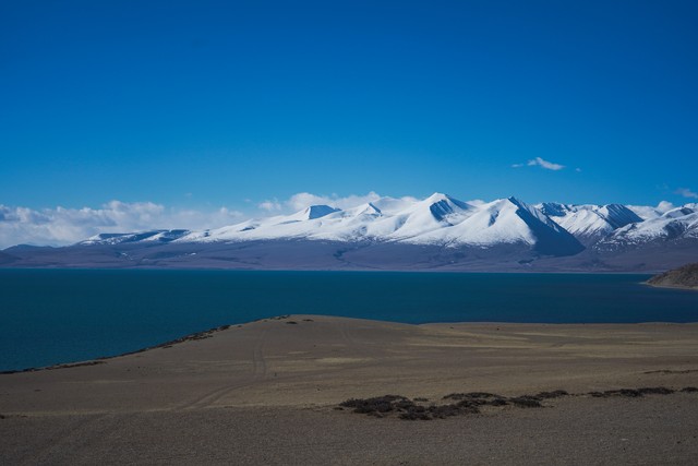 桃柚直播截图预览1