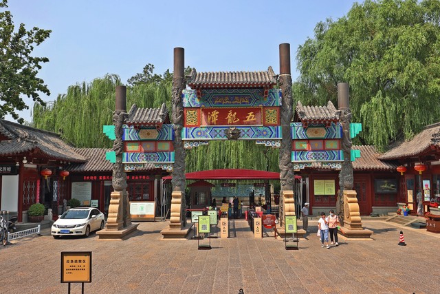 夜女直播截图预览3