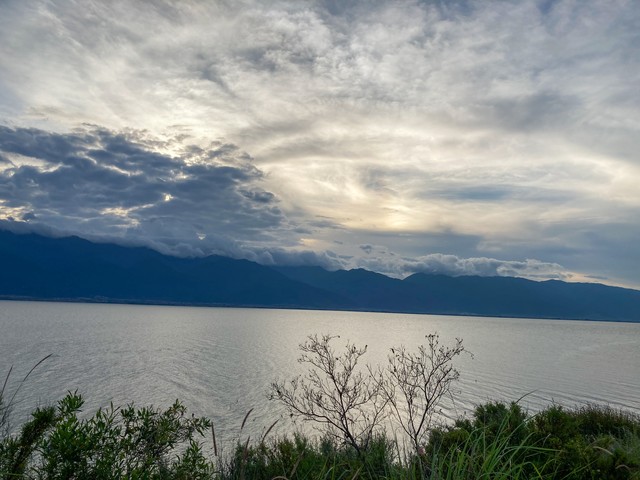 量子扫描解决方案