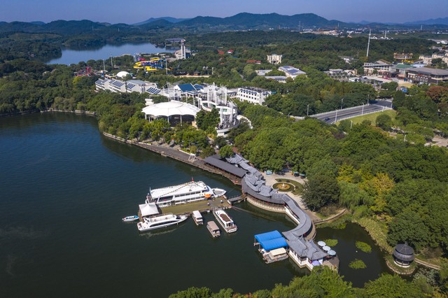 夜女直播截图预览1