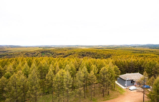 路咪直播截图预览1