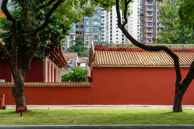 红枯直播截图预览0