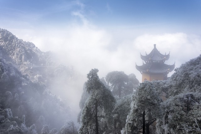金链直播截图0