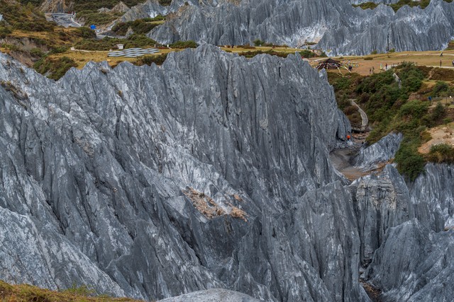 虾蛄直播截图预览1