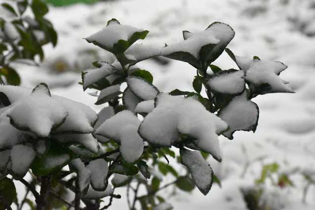 传奇！曹赟定成申花首位中超300场球员，本场连过三人送助攻?-