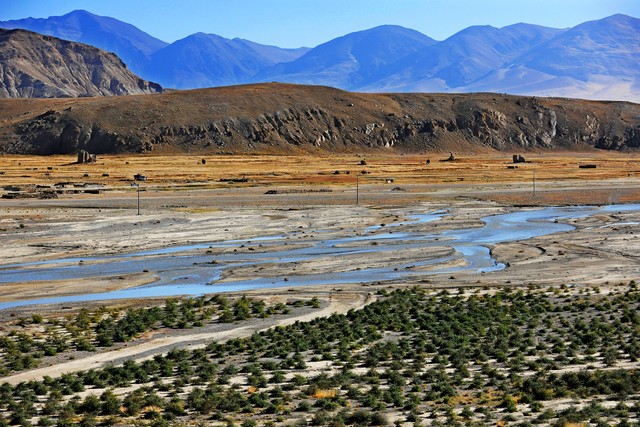 烈豹直播截图预览2