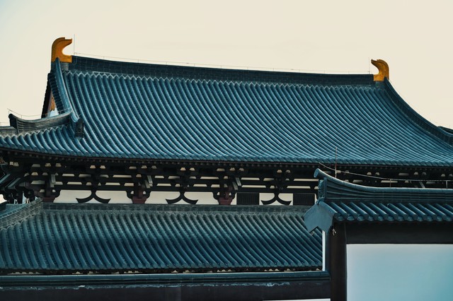 夜魅直播