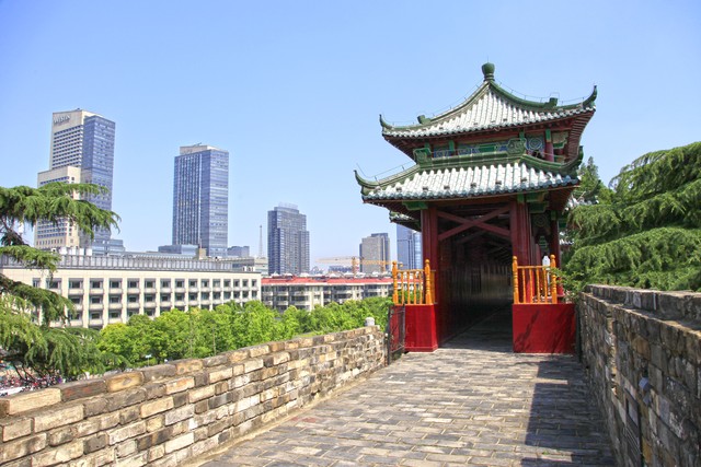 伴友直播