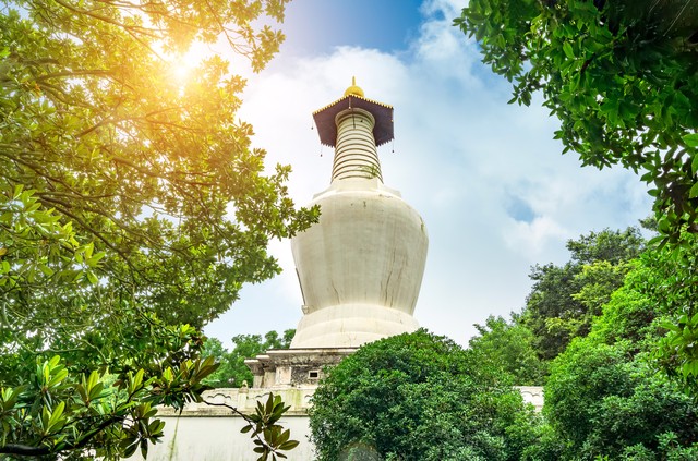日批直播