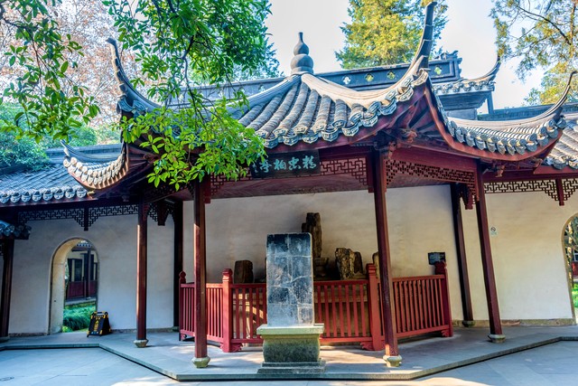 专业跟踪网络