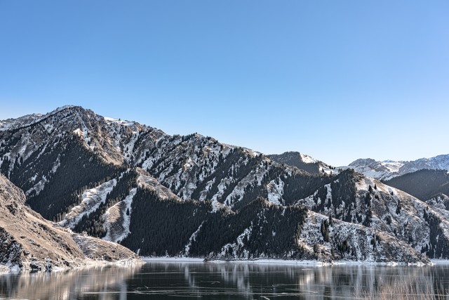 蜜橘直播