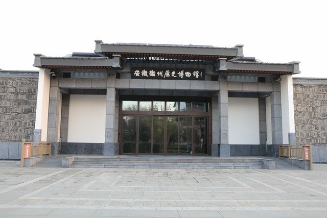 杨硕直播截图3