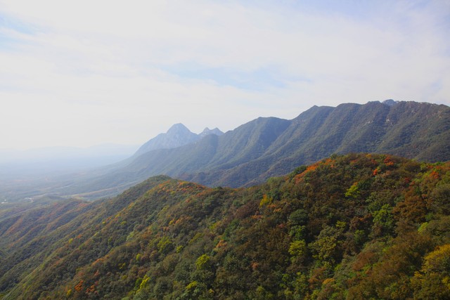 魅影平台怎么直播截图预览1