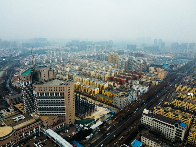 箩卜直播截图预览4