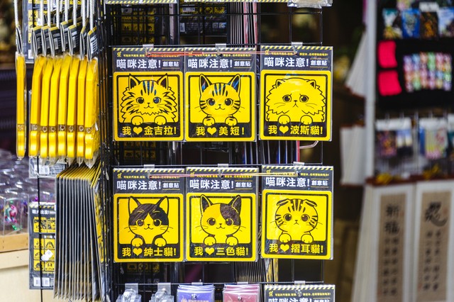 子冉直播