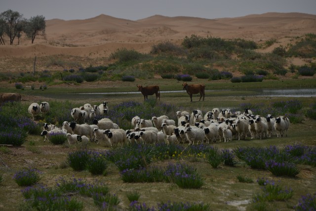 姬色直播截图预览4