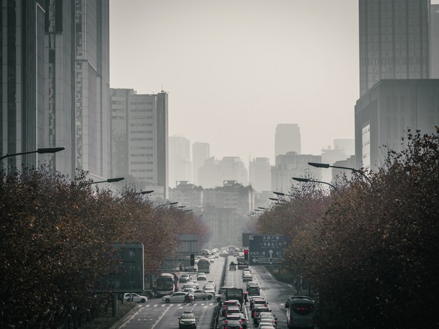 新游直播